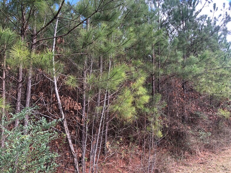 More Photos Of 4350 Ben HILL RD, Atlanta Land For Sale