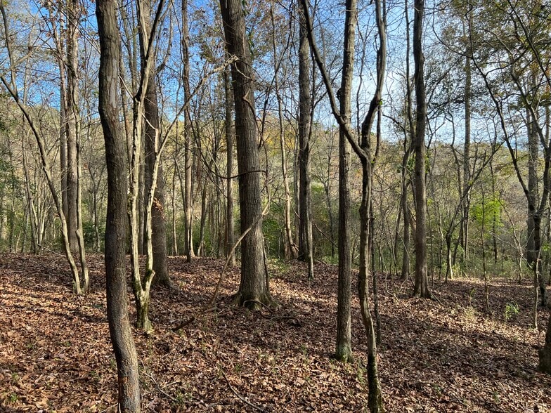 More Photos Of 0 Dickson Dr, Danielsville Land For Sale