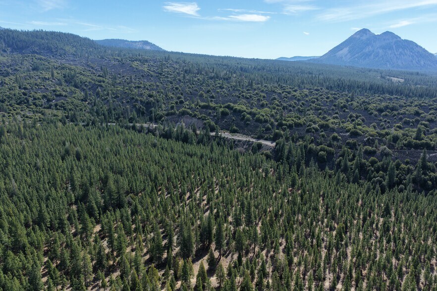 More Photos Of , Weed Industrial For Sale