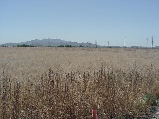 Primary Photo Of SE Perryville Rd & Broadway Rd, Goodyear Land For Sale