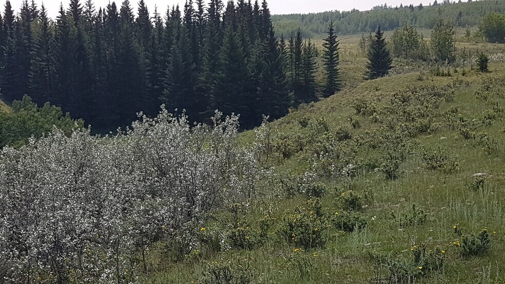 More Photos Of 2 Bow River, Rocky View No 44 Land For Sale