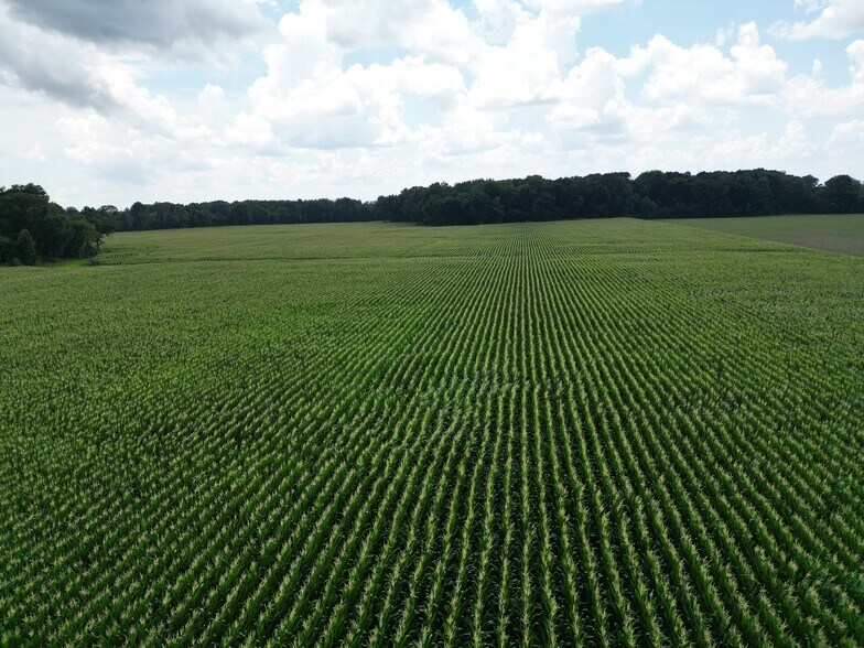 More Photos Of 00 Hwy 45 N, Jackson Land For Sale