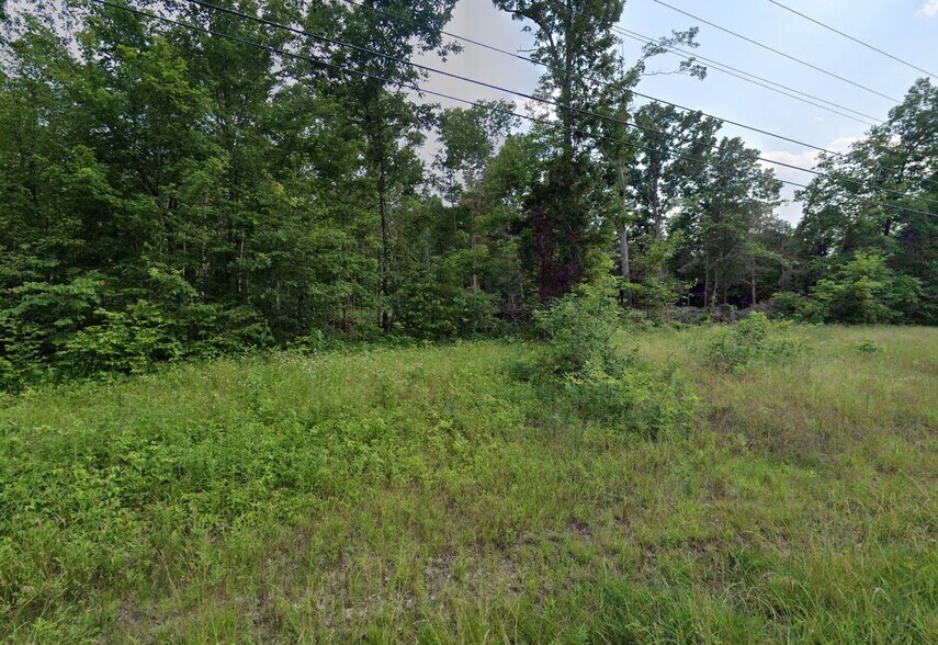 More Photos Of 0 Blue Bird Rd, Falls Of Rough Land For Sale