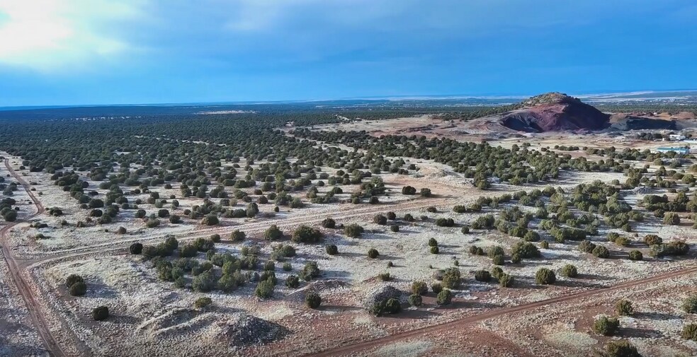 Primary Photo Of NNWC of Bourdon Ranch Road at Roundup Dr, Show Low Land For Sale