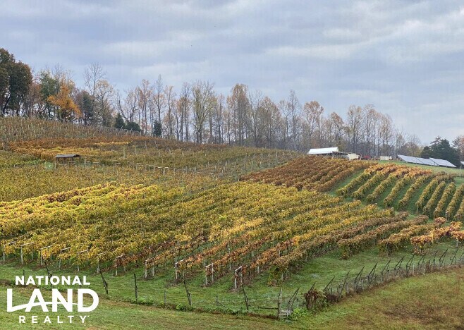 More Photos Of 3899 Eakin Farm Rd, Blacksburg Winery Vineyard For Sale