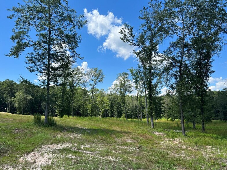 More Photos Of 400 Chula Brookfield Rd, Chula Land For Sale