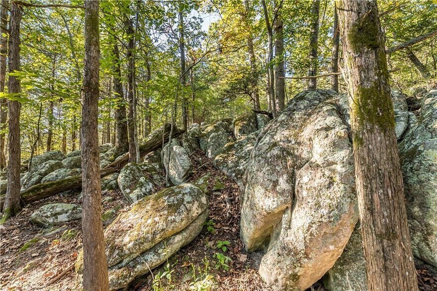 More Photos Of 3134 E Van Buren, Eureka Springs Hotel For Sale