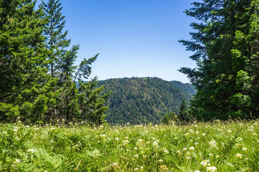 More Photos Of 16401 South Highway 1, Manchester Land For Sale