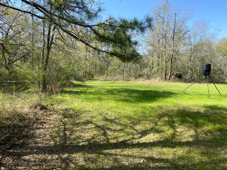 More Photos Of 24030 Hegar Rd, Hockley Land For Sale