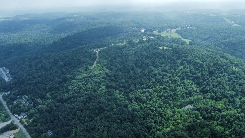 Primary Photo Of 8972 River Rd, Wellsburg Land For Sale