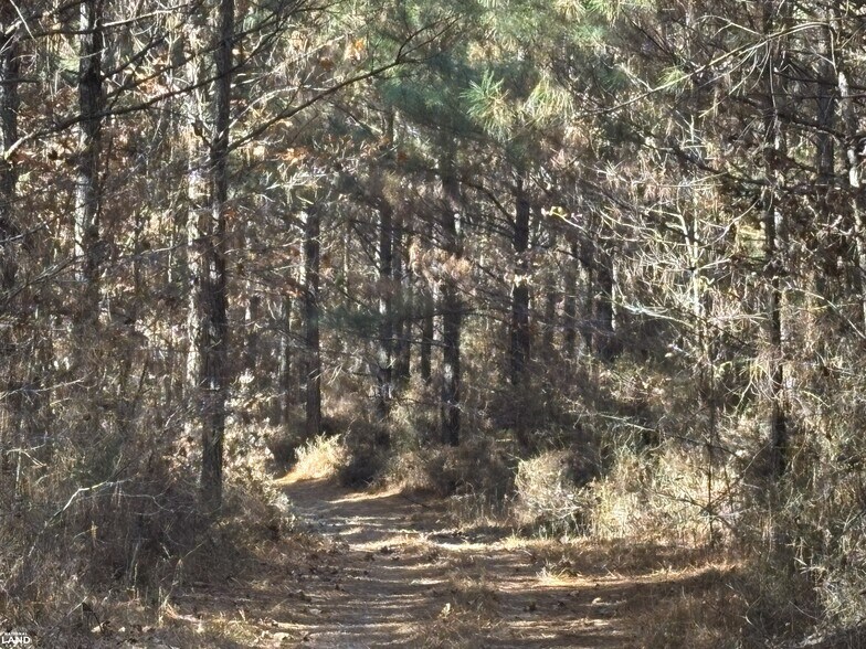 More Photos Of 0 Old Beatty Ford Rd., Gold Hill Land For Sale