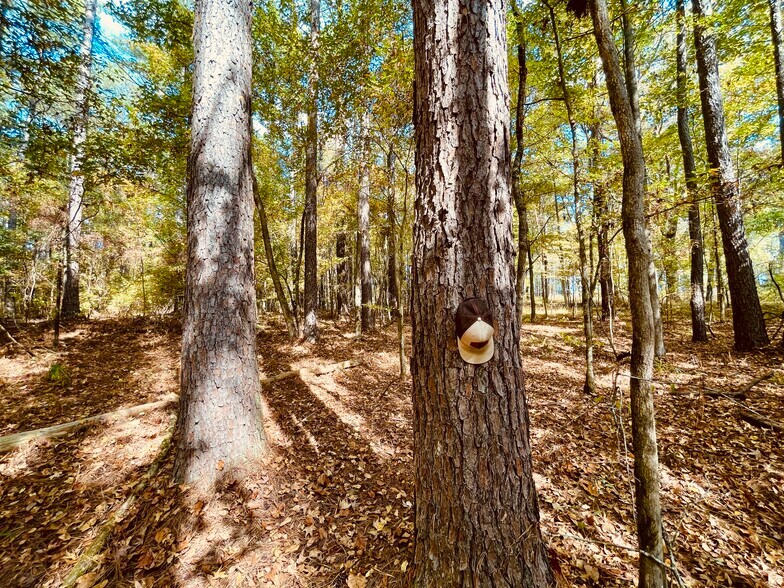 More Photos Of MS Highway 12, Durant Land For Sale