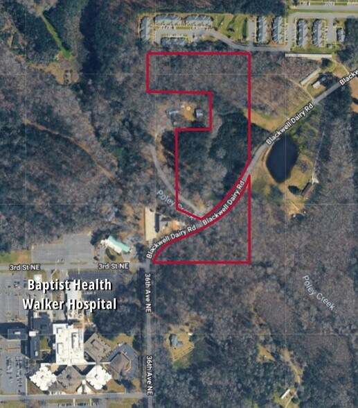 More Photos Of 358 Blackwell Dairy Rd, Jasper Land For Sale