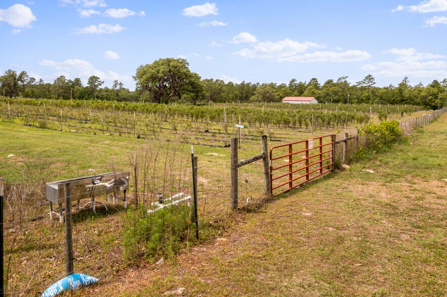 More Photos Of 130 Strawberry ln, Pomona Park Land For Sale