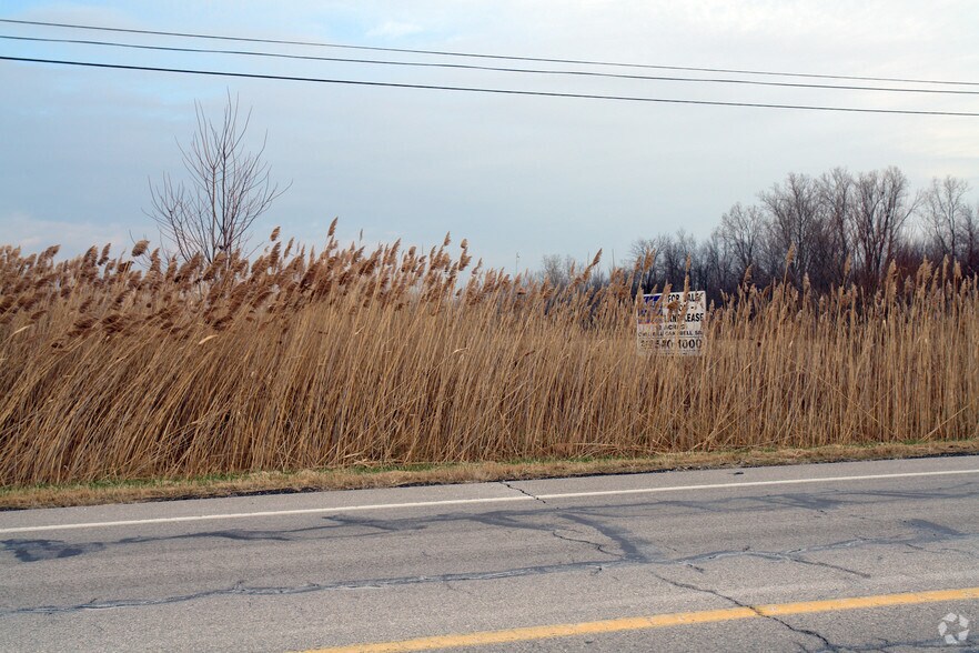 More Photos Of Pennsylvania Rd, Romulus Land For Sale