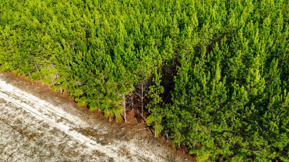 More Photos Of Highway 45, Loris Land For Sale