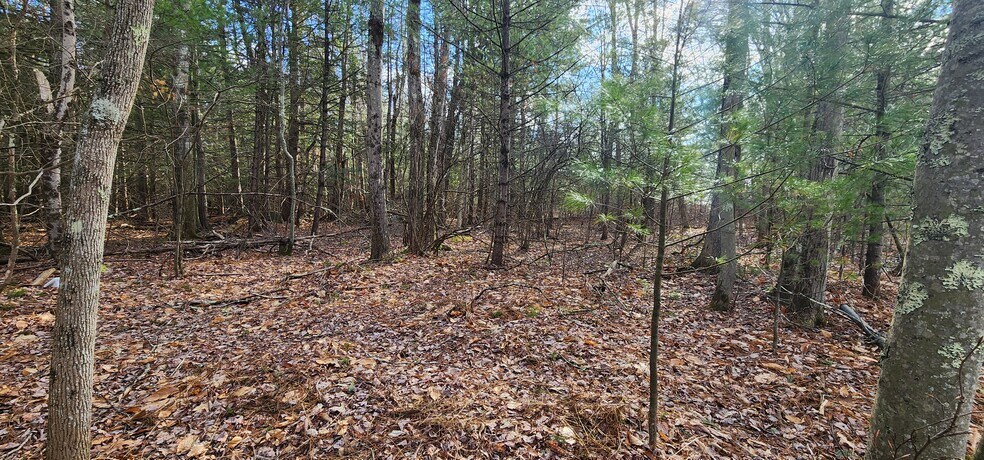 More Photos Of 42 Concord rd, Kiamesha Lake Land For Sale