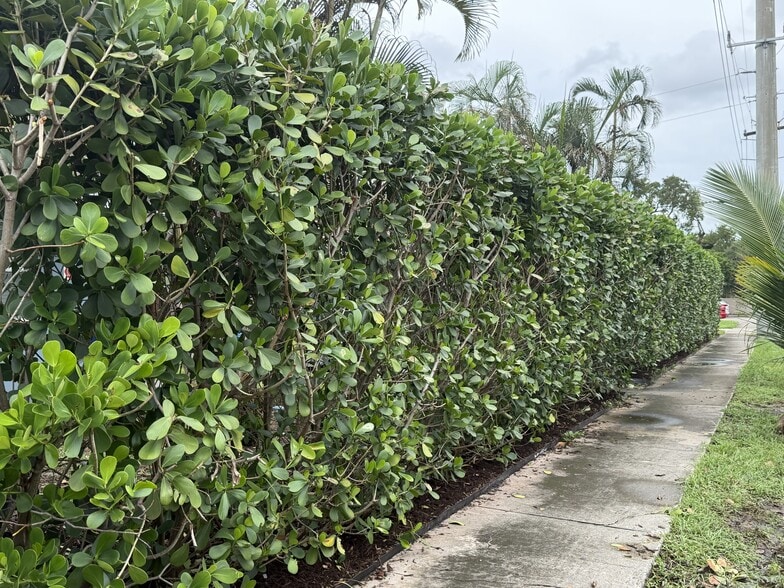 More Photos Of 401 SW 7th Ave, Fort Lauderdale Apartments For Sale