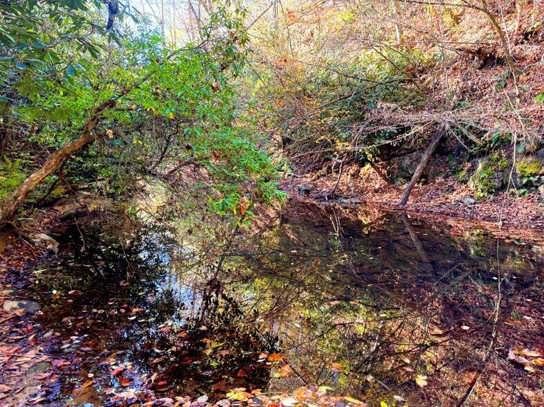 More Photos Of 0 Old Pluto Rd, Shady Spring Land For Sale