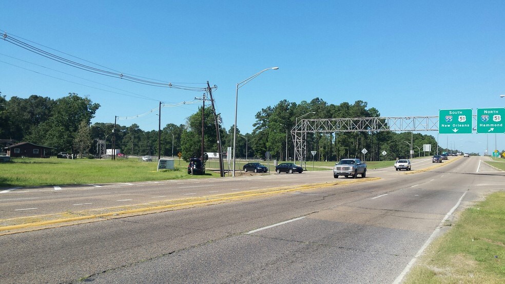 Primary Photo Of 175 SE Service Rd, Ponchatoula Land For Sale