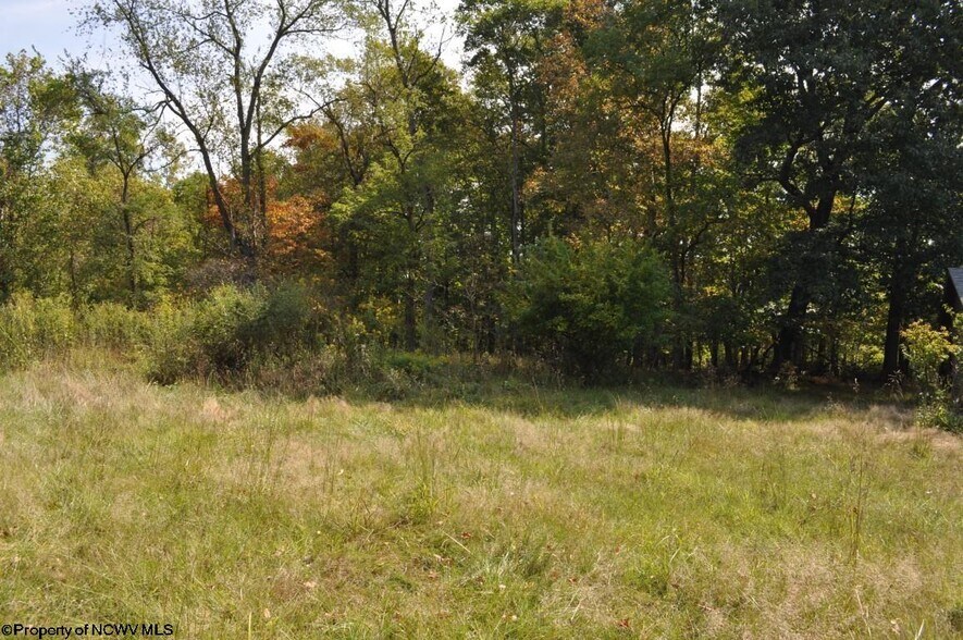 More Photos Of 3039 Earl L Core Rd, Morgantown Land For Sale