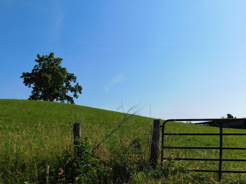 More Photos Of Chapman Rd, LaFollette Land For Sale