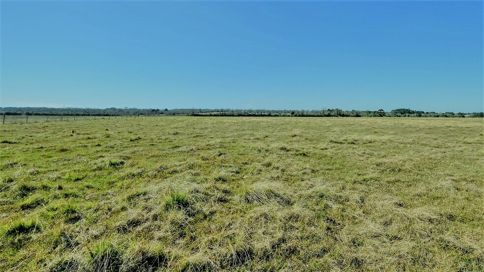 More Photos Of 26266 Fields Store Rd., Waller Land For Sale