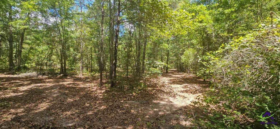 More Photos Of 21.20 Acres Priest Road, Vienna Land For Sale