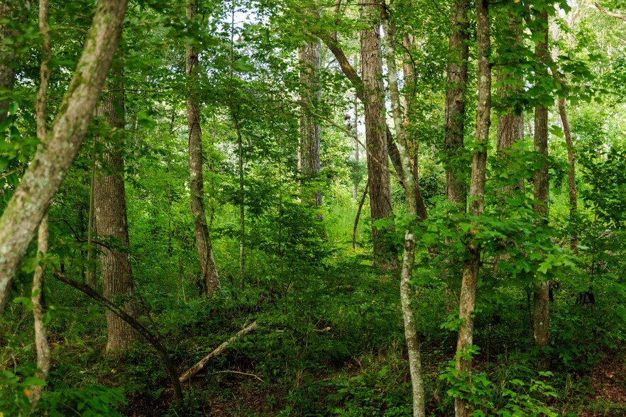 More Photos Of 2199 Roosterville Rd, Roopville Horse Stables For Sale