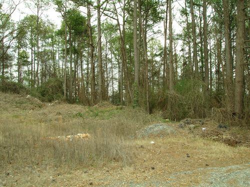 More Photos Of 1561-1565 Moreland Ave, Atlanta Land For Sale