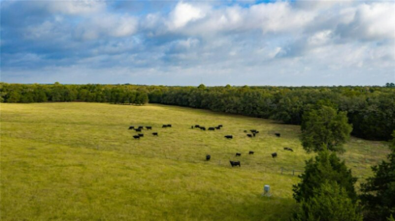 More Photos Of 705 Antioch Rd, Paige Land For Sale
