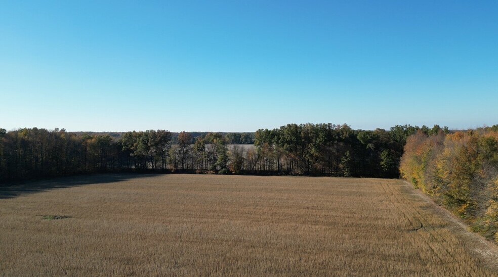 More Photos Of 9356 St Rt 350, Clarksville Land For Sale
