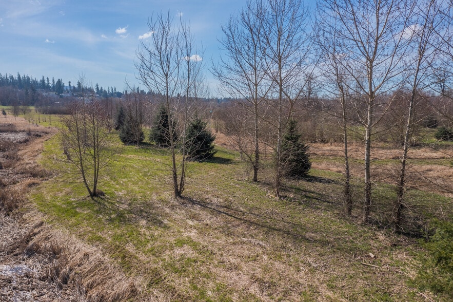 More Photos Of 2323 Lindgren Rd, Mount Vernon Land For Sale