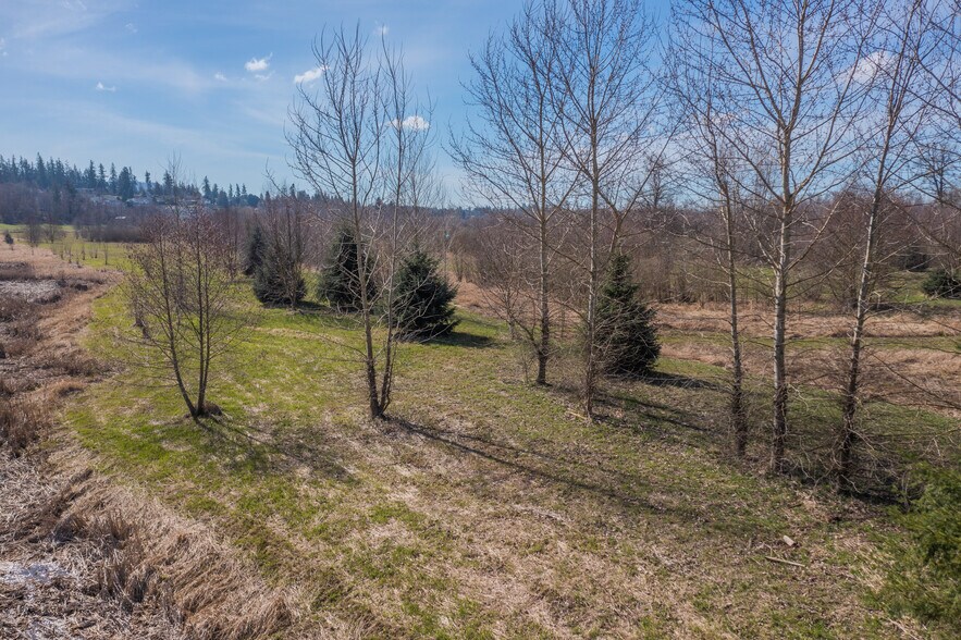 More Photos Of 2323 Lindgren Rd, Mount Vernon Land For Sale