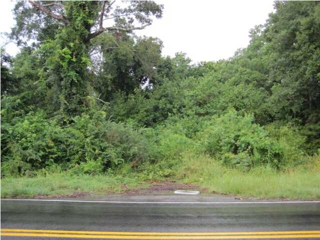 More Photos Of 2469 Ashley River Rd, Charleston Land For Sale