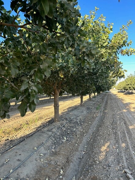 Primary Photo Of 10431 S Bethel Ave, Selma Land For Sale