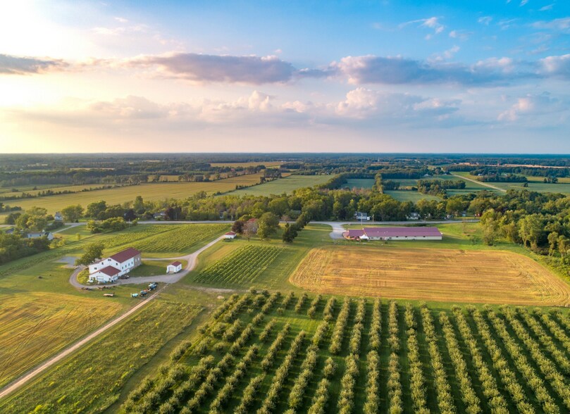 Primary Photo Of 5138 Lower Mountain Rd, Lockport Winery Vineyard For Sale