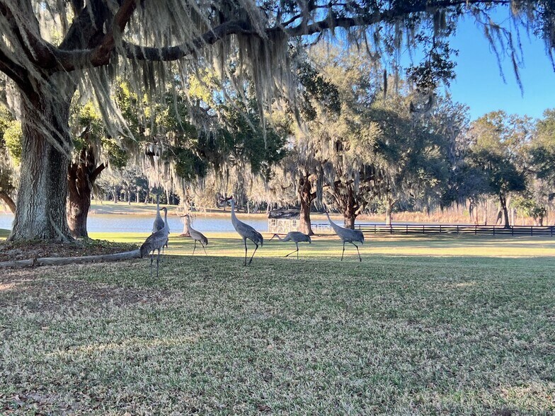 More Photos Of 15400 S US Highway 301, Summerfield Office For Sale