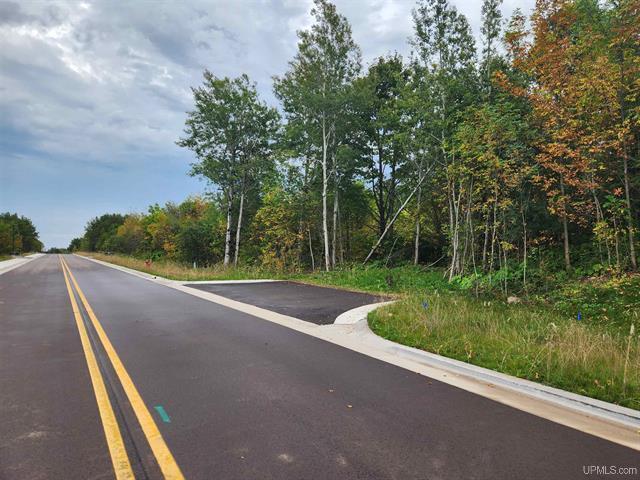 More Photos Of TBD9 Dolomite Dr, Hancock Land For Sale