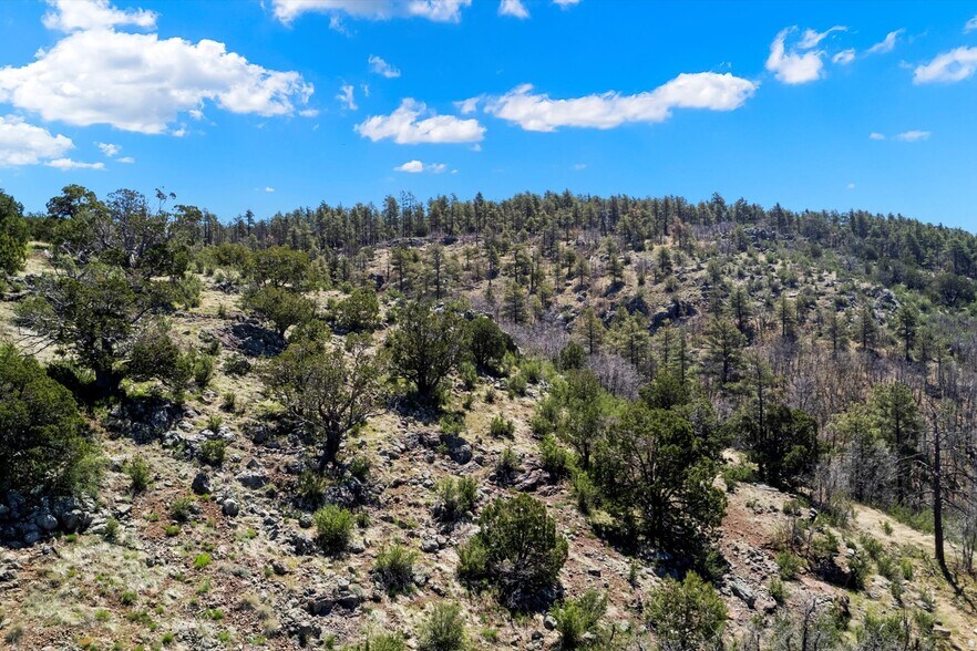 More Photos Of 00 Ponderosa Dr, Flagstaff Land For Sale