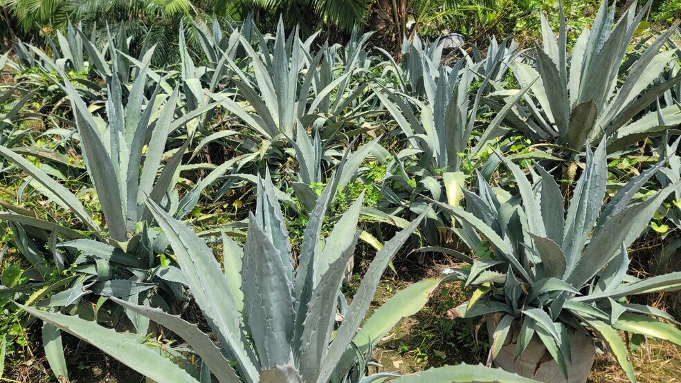 More Photos Of SW 172 ST, Miami Land For Sale