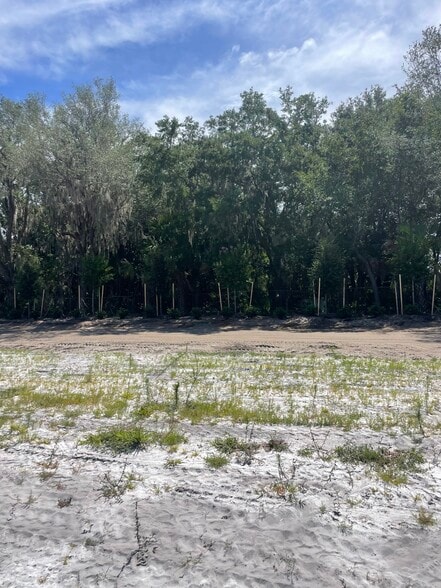 More Photos Of Lake Ferns Road, Umatilla Land For Sale