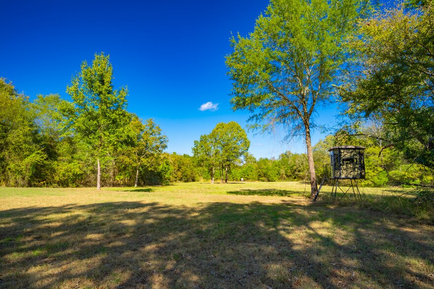 More Photos Of 391 Farm to Market 1519, Scroggins Land For Sale