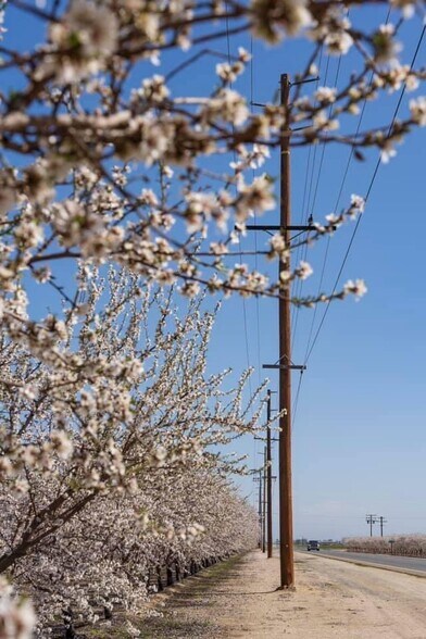 More Photos Of E Terra Bella Ave @ Rd 140, Pixley Land For Sale