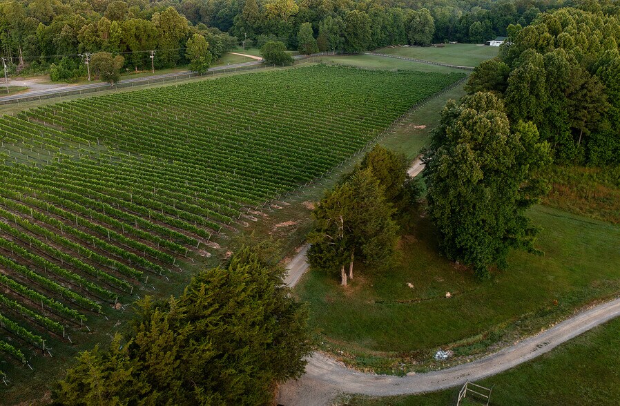 More Photos Of 8400 Old Church Rd, New Kent Winery Vineyard For Sale