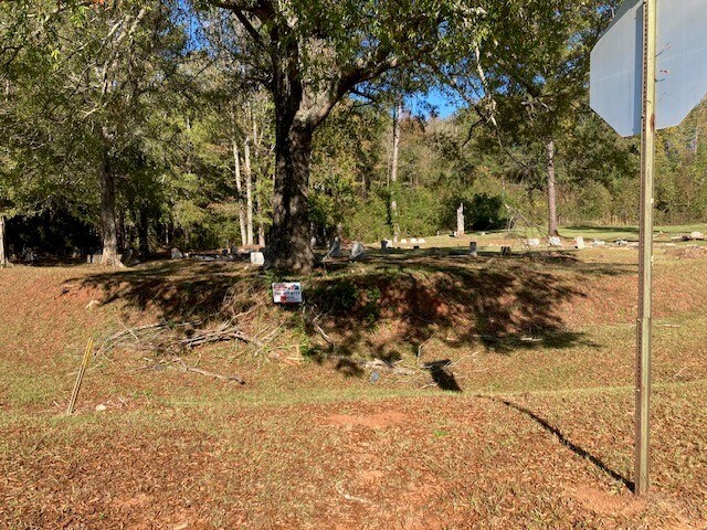 More Photos Of Kia Blvd @ Sandtown Rd, Lagrange Land For Sale