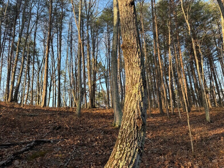 More Photos Of 260 Arnold Rd NE, Fairmount Land For Sale