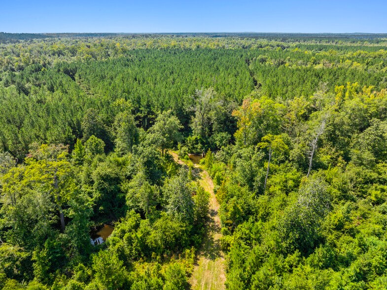 More Photos Of 7471 Highway 155, Saline Land For Sale