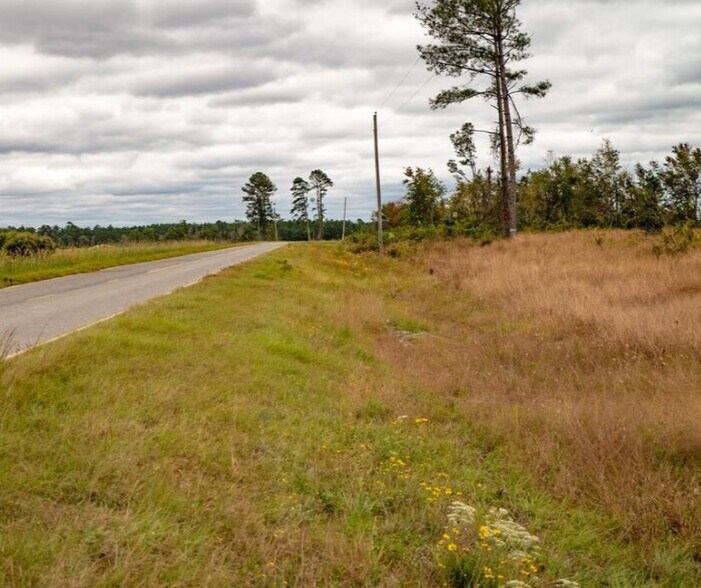 More Photos Of County Road 133, Willacoochee Land For Sale