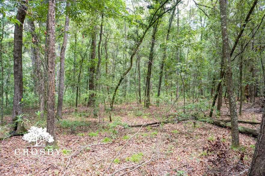 More Photos Of 3009 Lowcountry Drive, Ridgeland Land For Sale